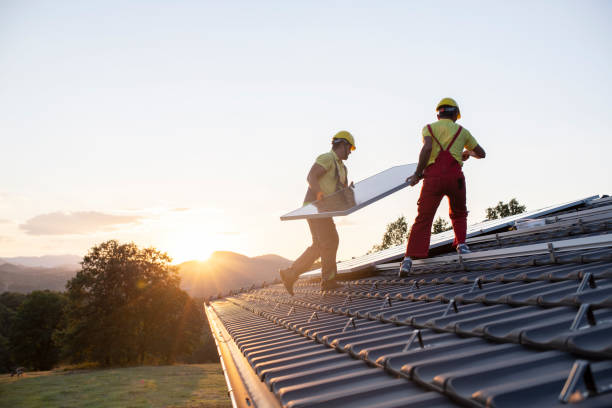Best Roof Moss and Algae Removal  in La Vale, MD