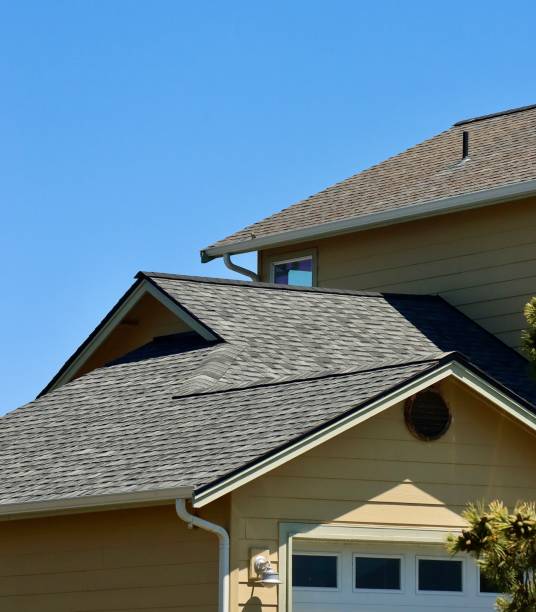 Best Solar Panel Roofing Installation  in La Vale, MD